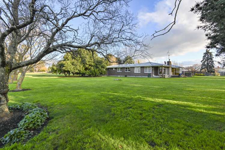 1223 Jellicoe Street Mayfair_13