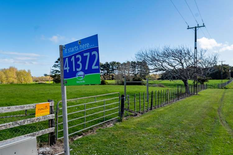 1641 Eltham Road Kaponga_5