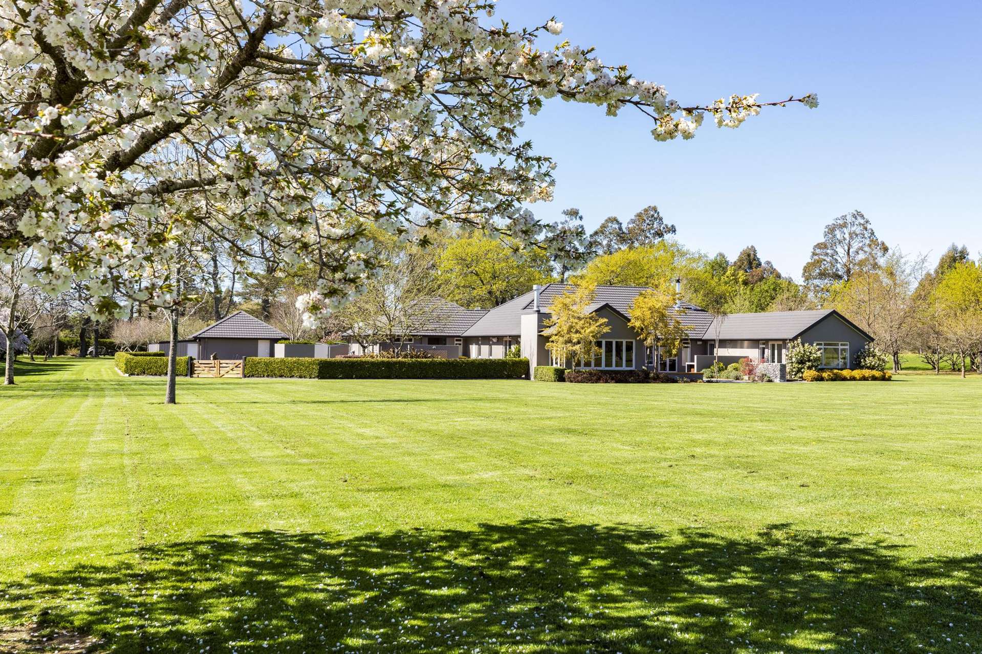 1 Jacksons Road Ohoka_0