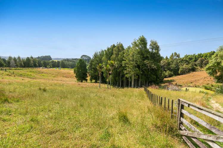 56 Burne Road Waitoki_21