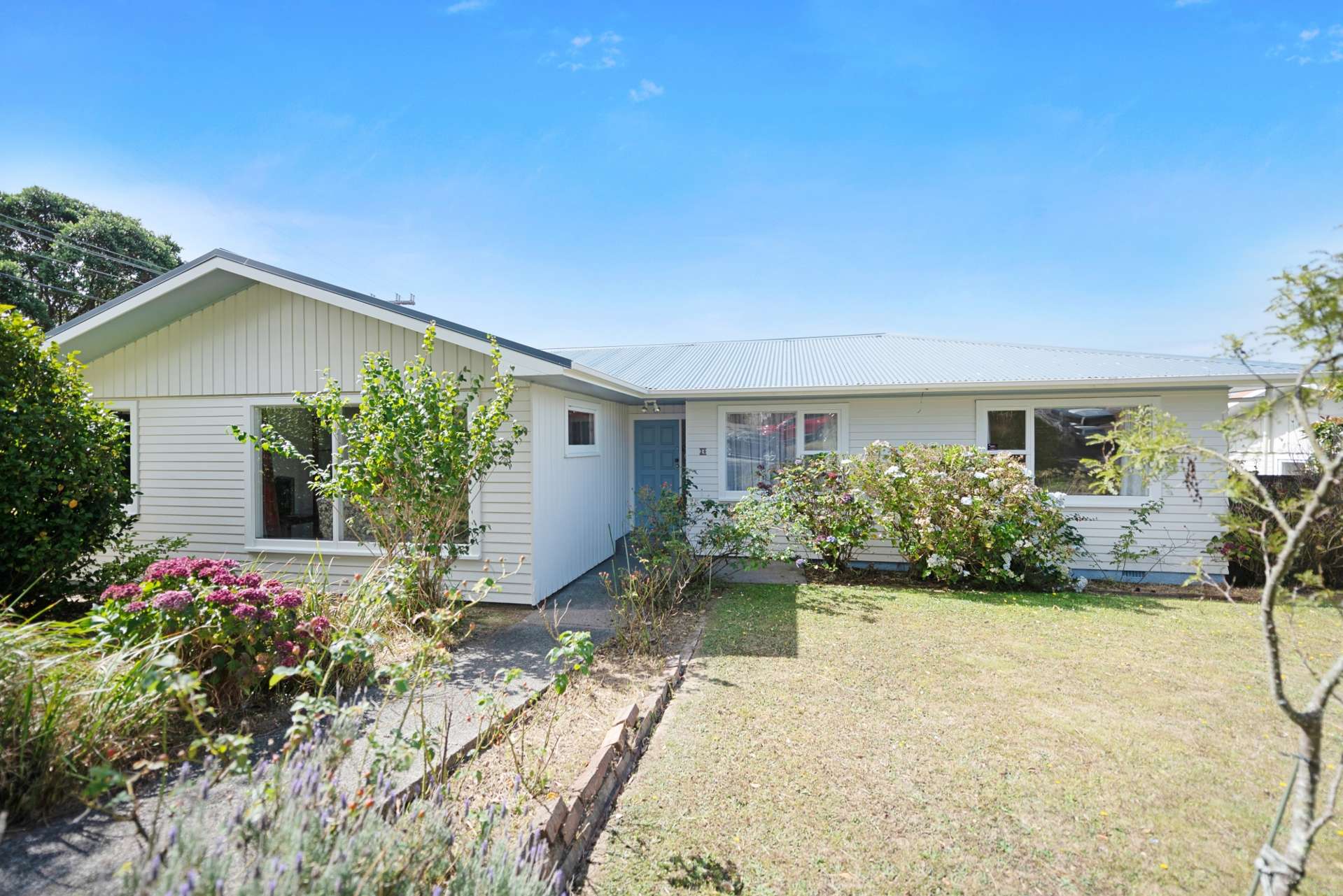 20 Elliott Street Johnsonville_0