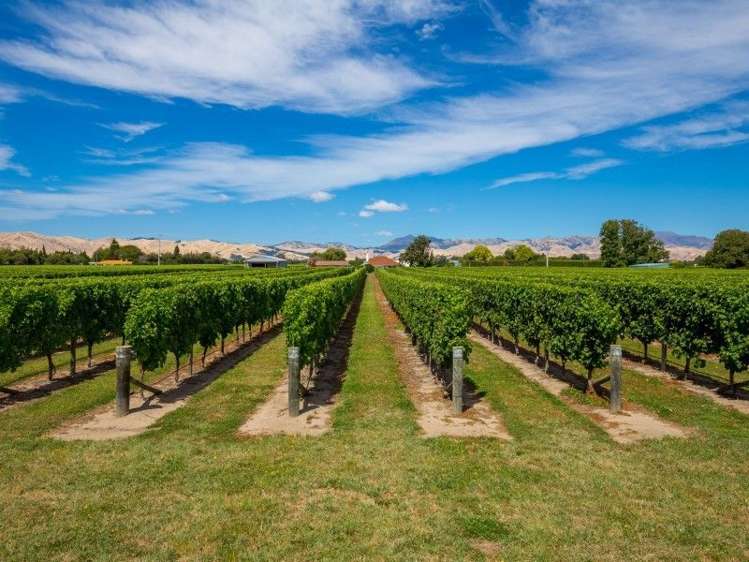 202 Old Renwick Road Springlands_11