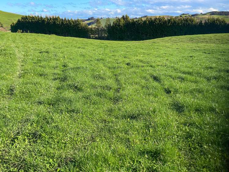 40 Whyte Road Tuatapere_12