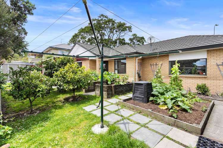 3 Carling Avenue Massey_13