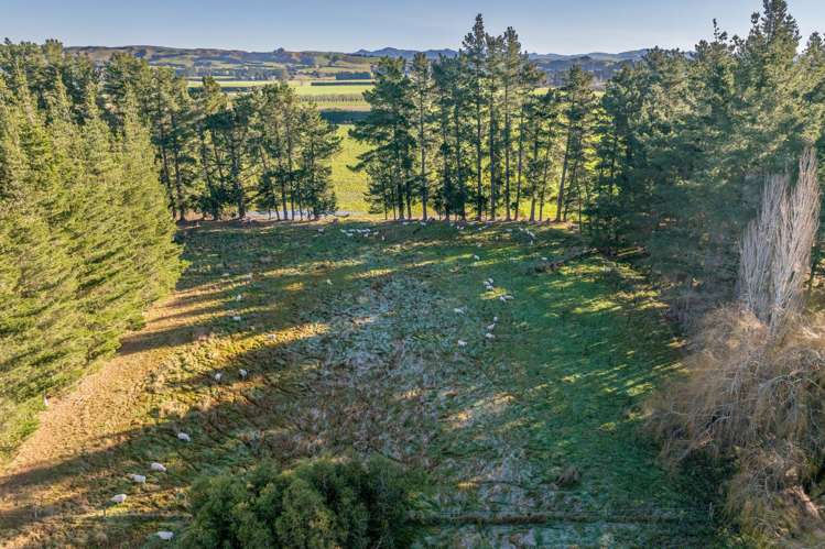 251 Homeview Road Cheviot_29