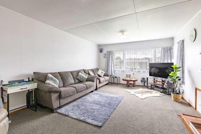 38 Mcgreevy Street Waipawa_4