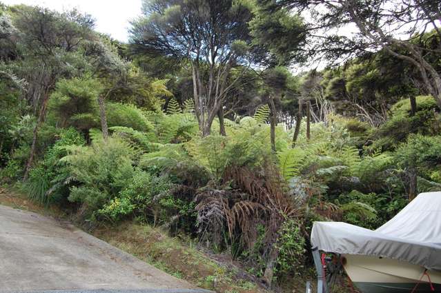 354 Blind Bay Road Great Barrier Island (Aotea Island)_1