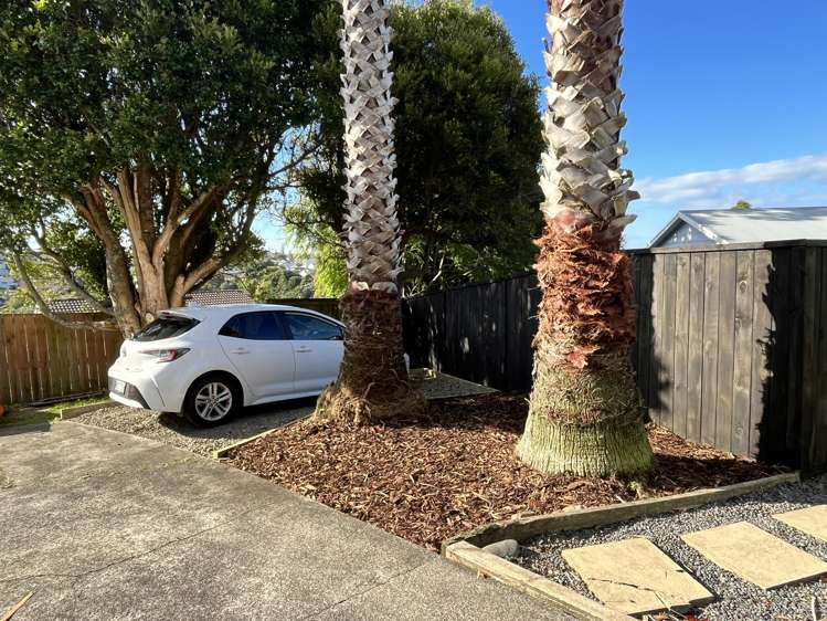 2/38a Nor'East Drive Torbay_20