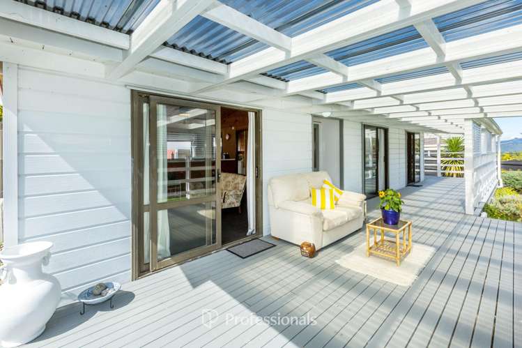 23b Roband Crescent Brown Owl_15