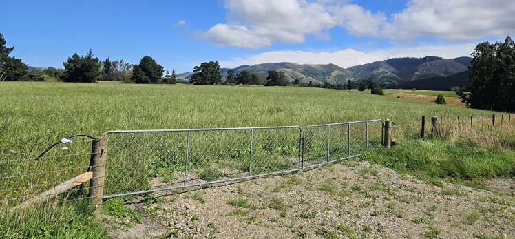 Lot 1 Brownleas Road_5