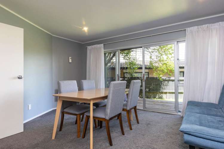 17d Methuen Road Avondale_13