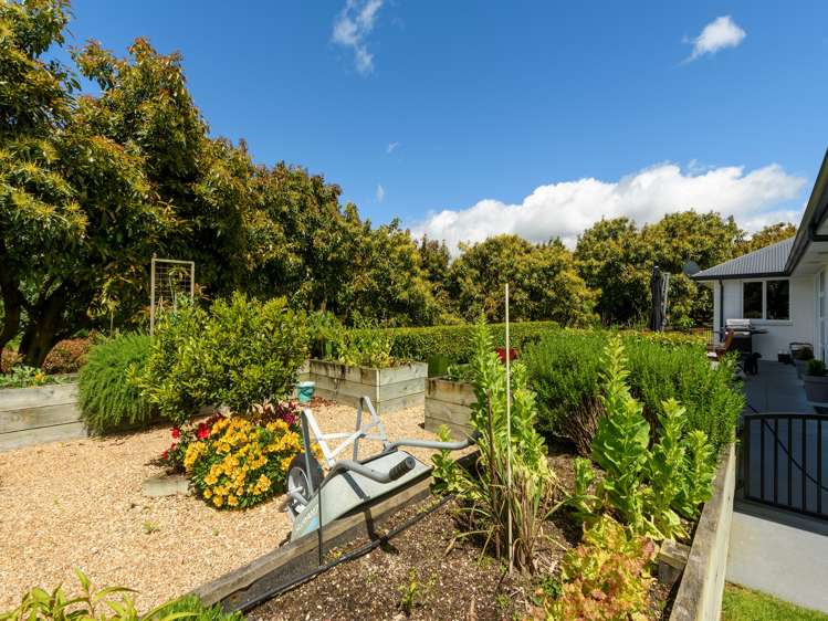 383 Old Highway Whakamarama_28