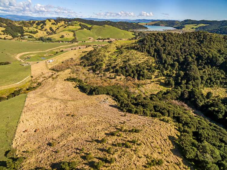 512 Orapiu Road Waiheke Island_7