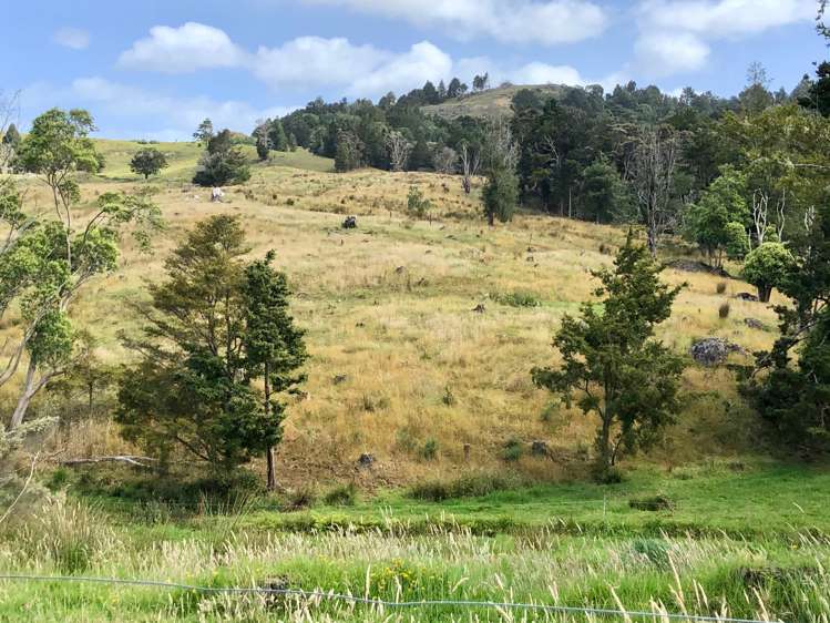 3609 State Highway 10 Kaeo_8