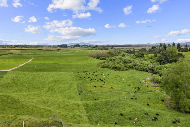 289/296 Tauranga Road Matamata_20