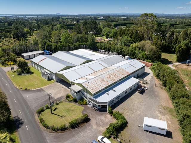 153 Rea Road Katikati_2
