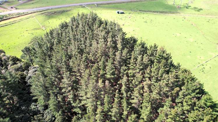 3902 State Highway 12 Dargaville Surrounds_23