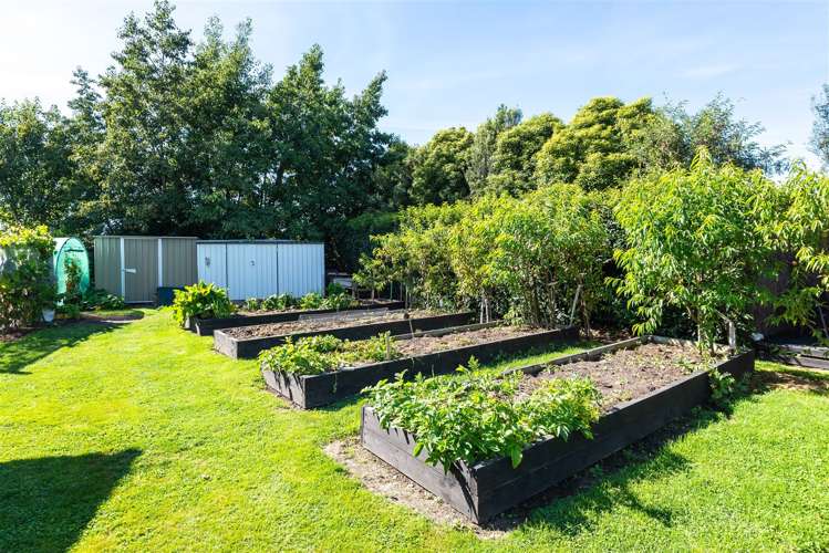 10 John Leith Place Leithfield_24