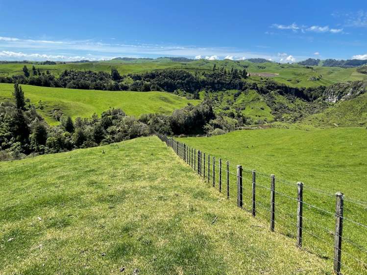 Ngaroma Road Wharepuhunga_17