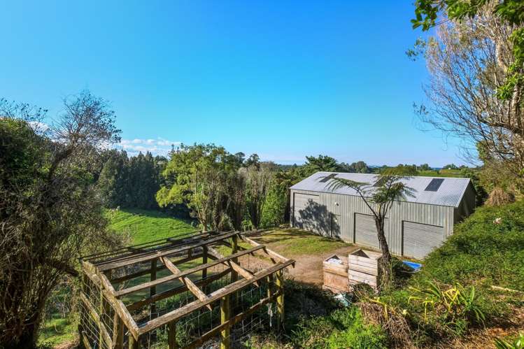 325A Esdaile Road Whakamarama_15