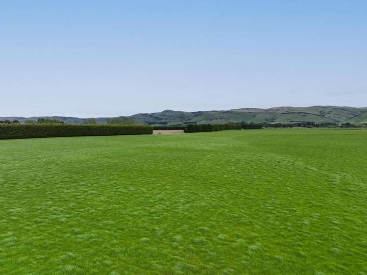 Warr Road. Balfour_8