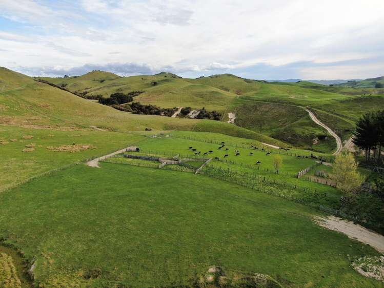 304 Middleton Road Waipukurau_14