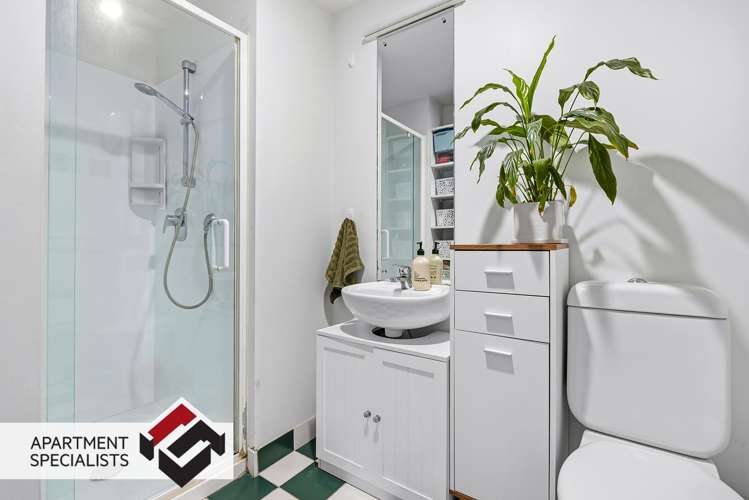 250 Richmond Road Grey Lynn_14
