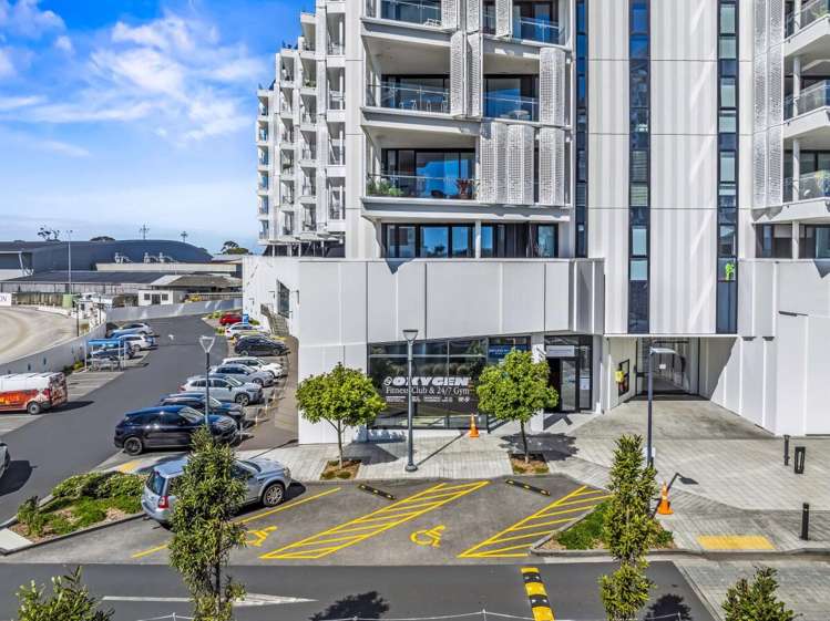 223 Greenlane West Epsom_0