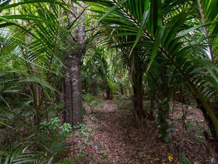 2325 Croisilles-French Pass Road Okiwi Bay_9