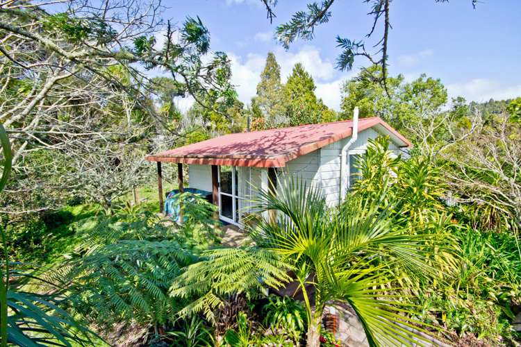 90 Mountain Road Henderson Valley_11