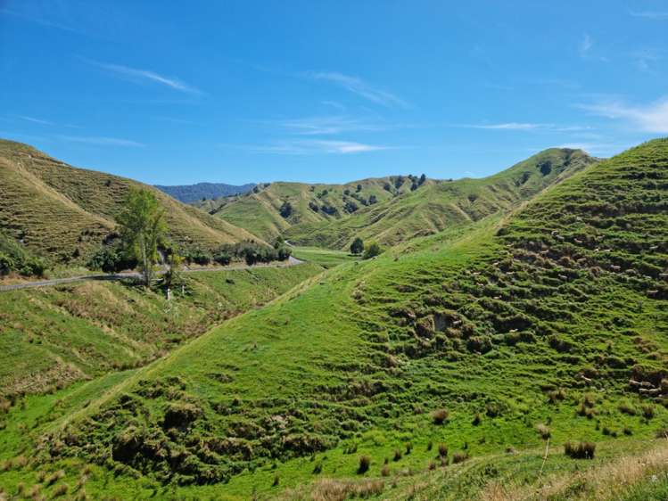3779 Whanganui River Road (State Highway 43) Ruapehu-King Country Surrounds_7