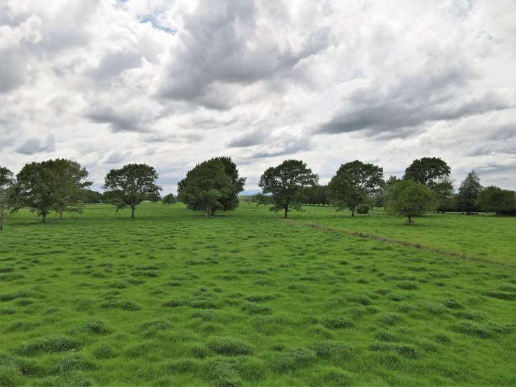 139 Taylor Road Gordonton_18