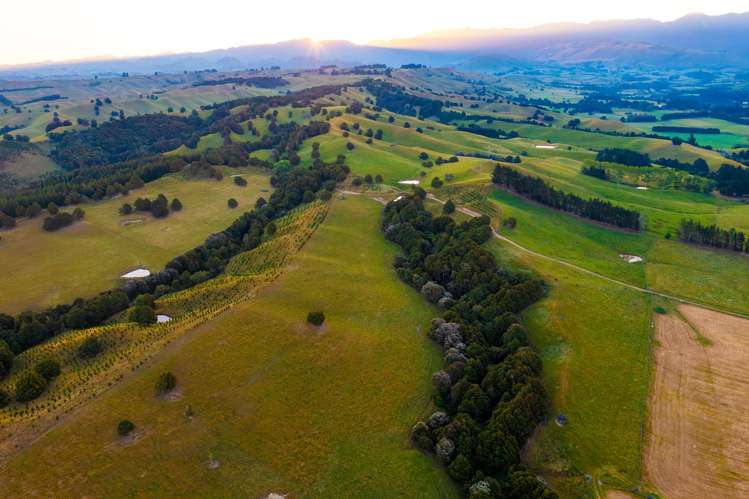 1527 Wakarara Road Ongaonga_2