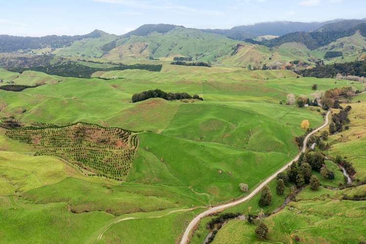 124 Haku Road Mangaotaki_3