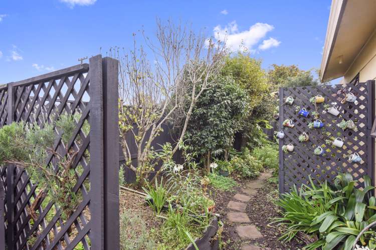 3/42 Green Street Tahunanui_15