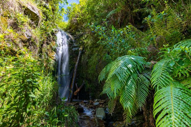 815 Manaroa Road Marlborough Sounds_7