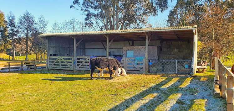 3/1171 Poihipi Road Oruanui_14