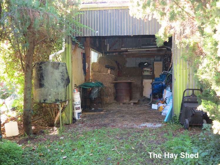 99 Clifton Road Kahurangi National Park_18