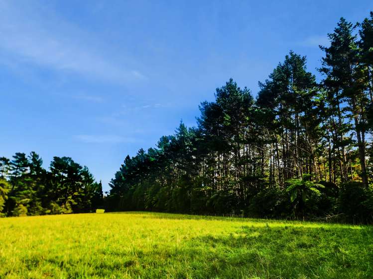 709 Ingahape Road Ohangai_32