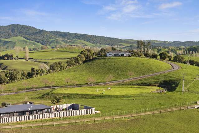 320 Morgan Road Matamata_1