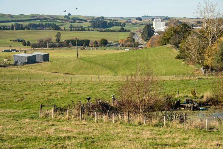 89C Mckinnon Road Mcnab_9