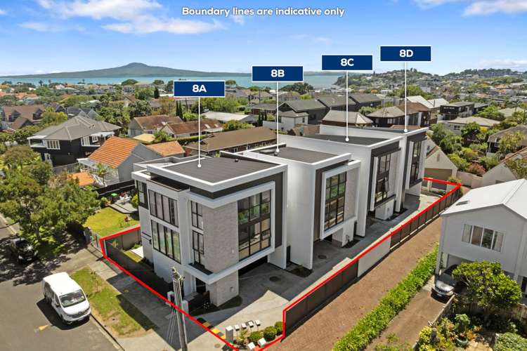 8D Sayegh Street St Heliers_0