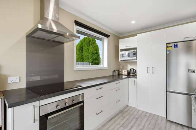 67 Stuart Street Hawthorndale_4