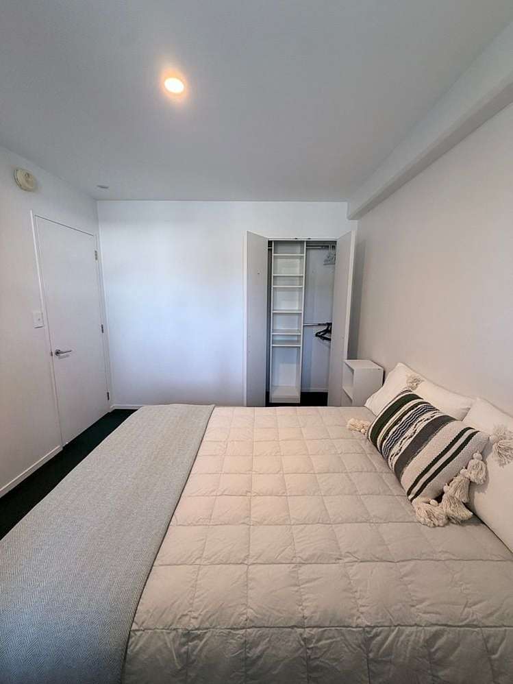 250 Richmond Road Grey Lynn_6