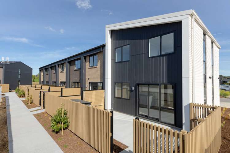 5 Te Ara Tanekaha Omokoroa_20