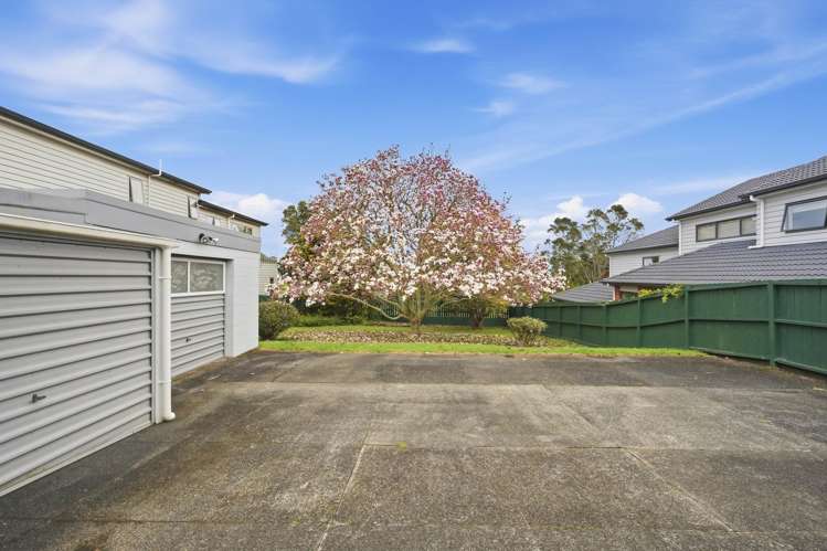 447 Mount Albert Road Mt Roskill_18