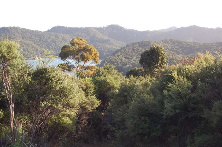 16 Harpoon Hill Great Barrier Island (Aotea Island)_1