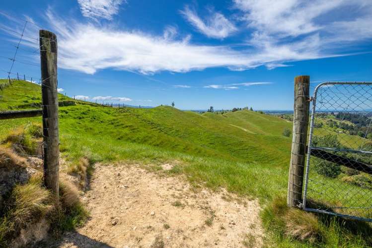 600 Neudorf Road Upper Moutere_43