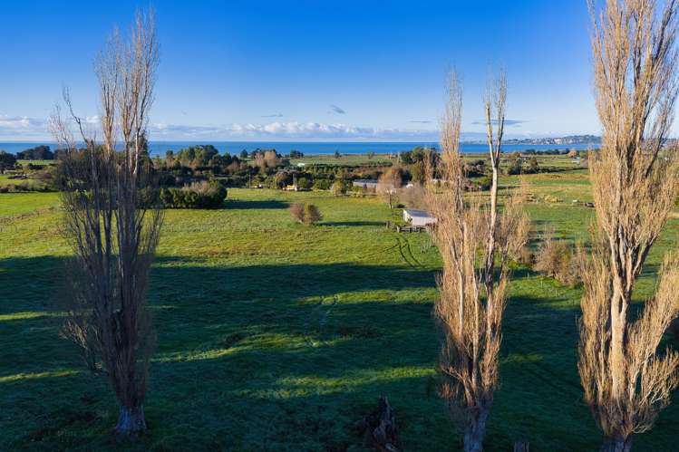 126 Harnetts Road Kaikoura_19