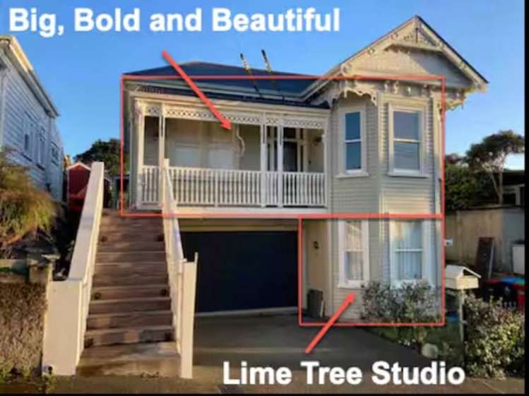 18A Minor Dwelling Tutanekai Street Grey Lynn_16